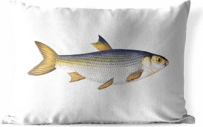 Produktbild von MuchoWow® Outdoor Kissen - Karpfen - Fisch - Meer - 60x40 cm - Wetterfest - Lounge Kissen - Zierkissen - Kissen für Innenräume