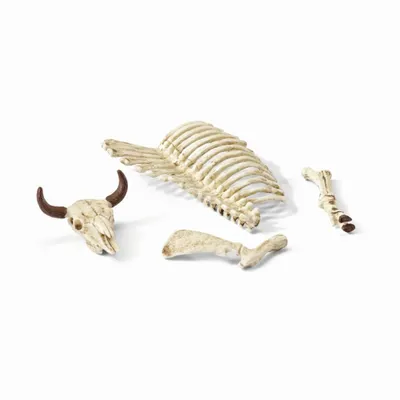 Produktbild von Schleich 42249 - World of Nature - Knochen, 4 Teile