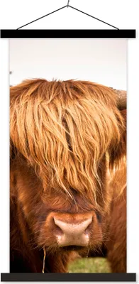 Produktbild von MuchoWow® Textilposter Schottische Hochlandrind - Braun - Gras 60x120 cm mit schwarzem Rahmen - Magnete