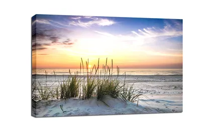 Obrázek produktu pro Obraz 120 x 80 cm na plátně duna krajina 5020.