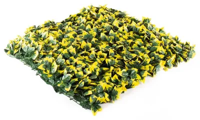 Obrázek produktu pro Umělý živý plot Hawaj Blýskalka Photinia žlutá Stěna 100 x 100 cm