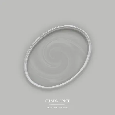 Produktbild von A.S. Création DD125518 The Color Kitchen Shady Spice TCK1004 2,5l Grau Matt
