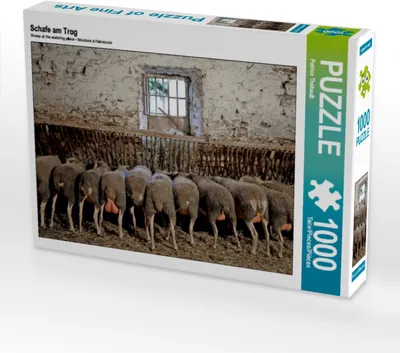 Produktbild von CALVENDO Puzzle Schafe am Trog | 1000 Teile Lege-Größe 64x48cm Foto-Puzzle für glückliche Stunden
