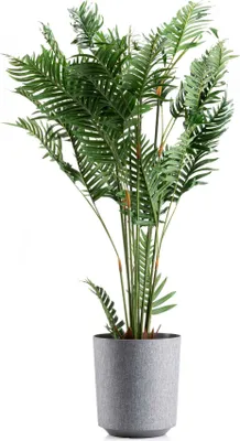 Immagine prodotto di HowHomely | Fioriera Aloe Texelle, Grigio - 28,5 x 31,6 cm - Fioriere, Design moderno, Facile da pulire