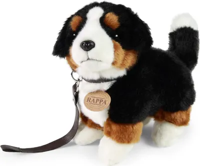 Produktbild von RAPPA Plüsch Berner Sennenhund stehend 22 cm ECO-FRIENDLY