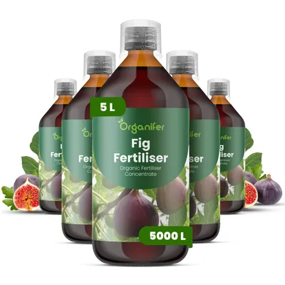 Obrázok produktu pre Fig Tekuté hnojivo 5 x 1 L – 2-1-8 (NPK) – Pre figy a ovocné rastliny – Podporuje silný rast, zdravé listy a kvalitu plodov – Organický produkt