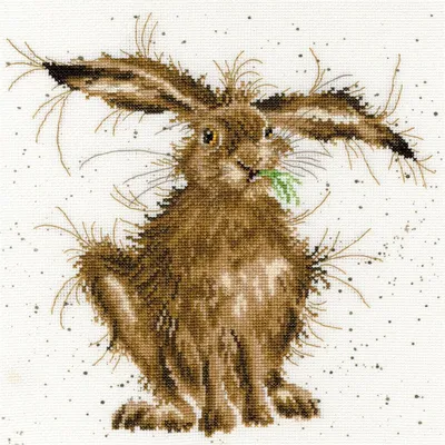 Produktbild von Bothy Threads Kreuzstich-Set "Verrückter Hase", 26x26cm, XHD49, Zählmuster