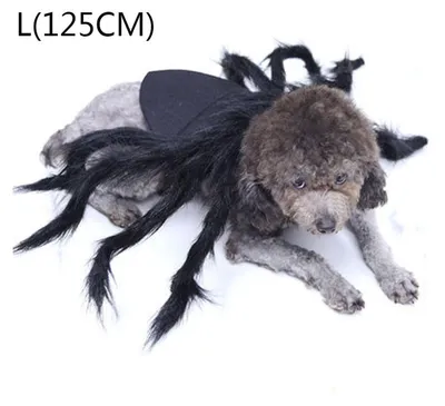 Immagine prodotto di Halloween Pet Dog Cat Spider Clothes Puppy Cosplay Costume per cani gatti Party Cosplay Funny Outfit, L(125CM)