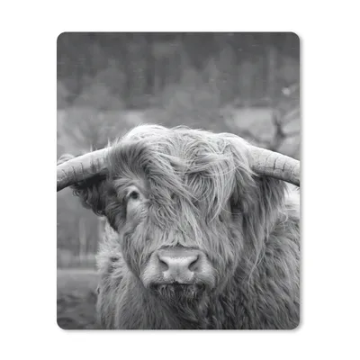 Produktbild von MuchoWow® Mauspad Mousepad Schottischer Highlander - Kuhkopf - Landschaft - Natur - Kuh 30x40 cm - Mousepads - Maus Mat - Pad - Mausunterlage - Mausmatten