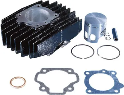 Produktbild von POLINI Thermal Group D.46 Hub 39,6 70cc Gusseisenzylinder