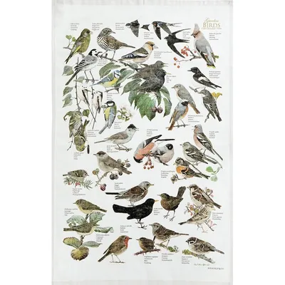 Produktbild von Garden Birds Geschirrtuch, Küchentuch