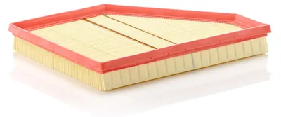 Image de Filtre à air MANN-FILTER C 3090/1