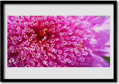 Produktbild von Bild 100x70 MDF-Rahmen Wandkunst Blume auf Wand
