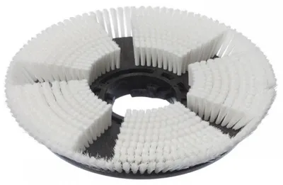 Produktbild von Trocken-Shampoonierbürste (43 cm), Trocken-Shampoonierbürste, Ø 43 cm, für TASKI ergodisc 165, duo | Packung (1 Stück)