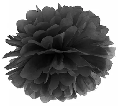 Obrázek produktu pro Bambule černá 25 cm