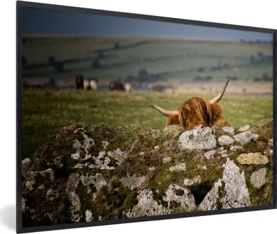 Produktbild von MuchoWow® Gerahmtes Poster Schottische Highlander - Steine - Gras 60x40 cm - Poster mit Schwarzem Bilderrahmen Wandposter Rahmen Foto Bilder - Printing - Wanddeko Schlafzimmer