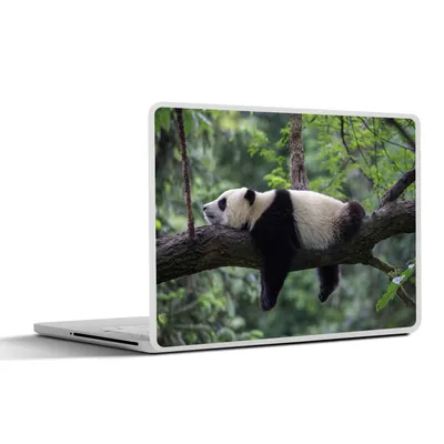 Produktbild von MuchoWow® Laptop Aufkleber Sticker Cover Panda - Baum - Tiere - Natur 32.5x23.5 cm - Sticker für Laptop - Selbstklebend
