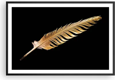 Produktbild von Gerahmtes Poster - Schwarzer Rahmen - Golden Feder Schwarz - 91,5x61 cm - Wand Bild - Wanddeko - Wandbilder - Kunstposter - Wandposter - Bilderrahmen - Bilder - Kunstdruck - P2BAA91x61-4887