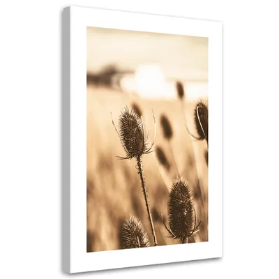 Produktbild von Leinwandbild Getrocknete Distel 40x60 Feeby Beige bild für die wand bereit zum aufhängen