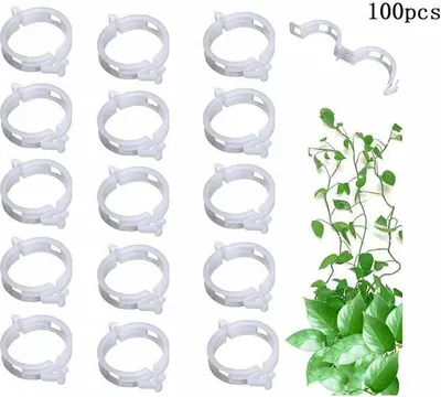 Produktbild von 100 Stück Tomatenclips, Pflanzenclips, Wachstumsclips für Transplantate, Stützclips für Gartenpflanzen, damit die Stängel von Gemüse und Tomaten gerade und gesünder wachsen, wiederverwendbare Clips, 3 cm 0,9 cm