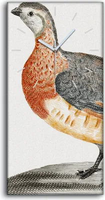 Produktbild von Leinwand Wanduhr Wandkunst Uhr Geräuschlos 30x60 Zeichnung Tier Vogel Kunst - weiße Hände