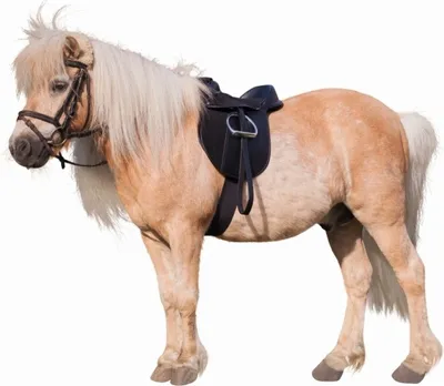 Produktbild von Kerbl Sattelset Economy Pony 15" 325415