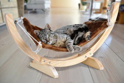 Produktbild von Silvio Design Katzenhängematte Cat Relax, braun, 70x35x30 cm, aus Plüsch & Echtholz, schwungvolles Holzgestell, abnehmbare Plüschliegefläche, waschbar bei 30°C, Belastbarkeit max. 6 kg