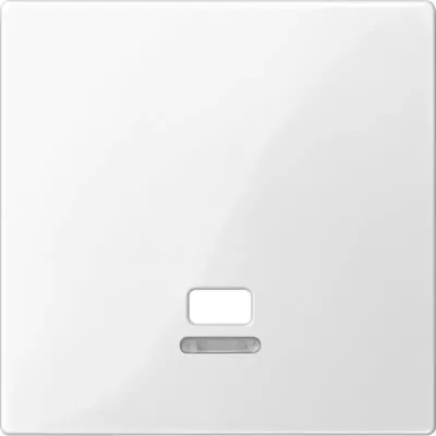Image de Merten MEG3380-0319 Plaque centrale avec fenêtre de contrôle pour interrupteur à tirette, blanc polaire brillant, système M
