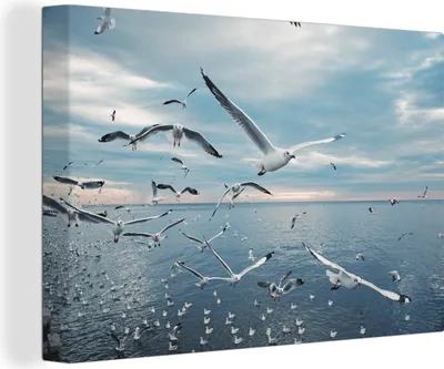 Obrázok produktu pre OneMillionCanvasses® - Výtlačky na plátne - 140x90 cm, kŕdeľ čajok zblízka, nástenná umelecká dekorácia