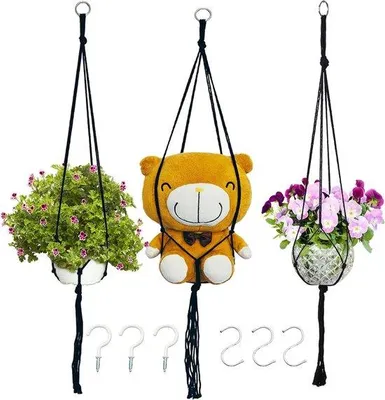Image de Kit de suspension pour plantes, 3 pièces, avec brosses et 6 crochets