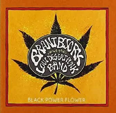 Produktbild von Black Power Flower
