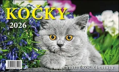 Image de Chats 2026 - calendrier de bureau