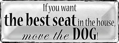 Produktbild von Blechschild Spruch 27x10cm if you want best seat move Dog Dekoration