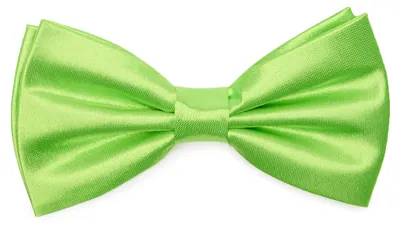 Produktbild von Ladeheid Elegante Herren Fliege -Hochwertig Glänzend Verstellbar BMS (12cmx6cm)