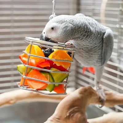 Produktbild von Craving Cage II - Futtertier | Interaktive Schale für kreative Mahlzeiten für alle Papageien