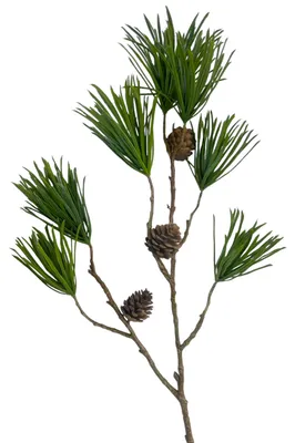 Produktbild von Künstlicher KIEFERNZWEIG mit 7 Trieben 74 cm.