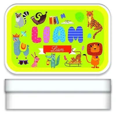 Wertedose "Liam" 2,7x9,7x6,2 cm, Metall, mehrfarbig