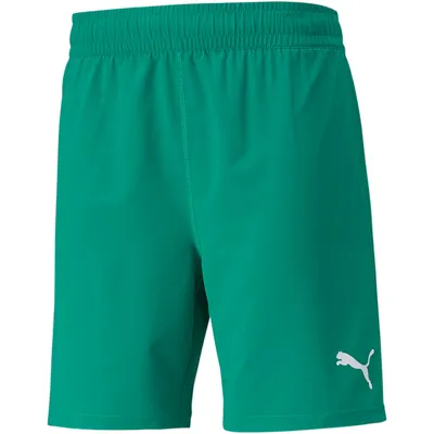Produktbild von Puma Teamfinal Shorts 70507605 Herren
