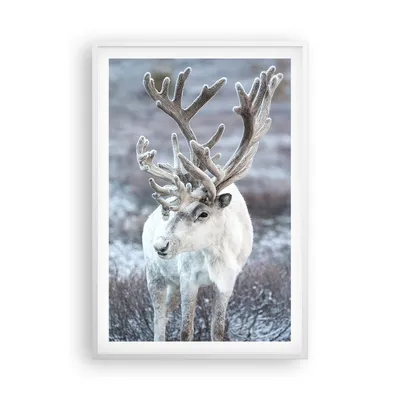 Produktbild von Gerahmtes Poster - Weißer Rahmen - Weiß Rentier Skandinavisch - 61x91,5 cm - Wand Bild - Wanddeko - Wandbilder - Kunstposter - Wandposter - Bilderrahmen - Bilder - Kunstdruck - P2WPA61x91-5156