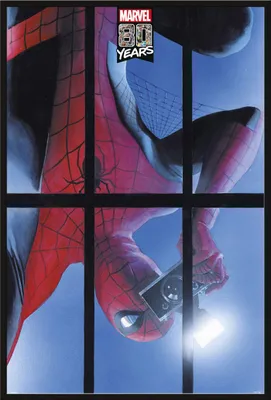Produktbild von Marvel - Spiderman 80 Jahre - Film Poster - Größe 61x91,5 cm Kunststoff-Rahmen schwarz