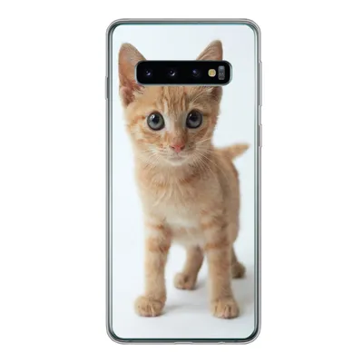 Produktbild von MuchoWow® Handyhülle Schutzhülle Hülle für Samsung Galaxy S10 Katze - Rot - Kätzchen - Mädchen - Kinder - Jungen - Kind Silikon Softcase Handy Hülle - Handytasche