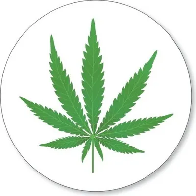 Produktbild von 12 X Aufkleber Hanf Cannabis rund Ø 50 mm, Folienaufkleber Hanfblatt grün weiß (Auf-522m)