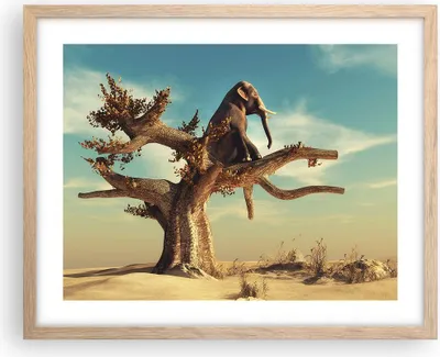 Produktbild von Gerahmtes Poster - Rahmen in heller Eiche - Sitzen Elefant Baum - 50x40 cm - Wand Bild - Wanddeko - Wandbilder - Wandposter - Bilderrahmen - Bilder - Kunstdruck - Wandbild - P2NAA50x40-4345