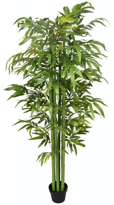 Produktbild von HOMCOM Künstliche Pflanze, 180 cm Kunstpflanze, Künstlicher Bambusbaum, Grün