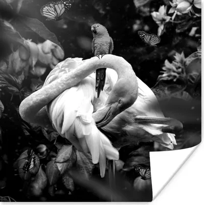 Produktbild von MuchoWow® Poster Flamingo - Schmetterlinge - Dschungel - Schwarz - Weiß 50x50 cm - Wohnzimmerdekoration