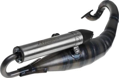 Image de Échappement Giannelli Rekord argenté, avec homologation (ABE), pour Yamaha Aerox 50 Cat, à partir de l'année de fabrication.