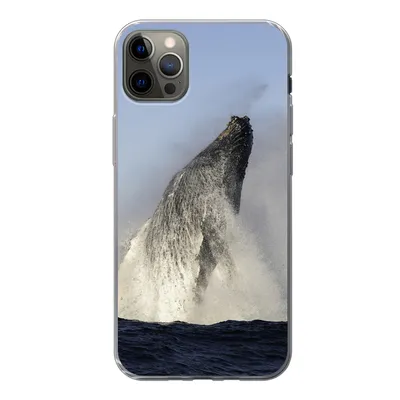 Produktbild von MuchoWow® Handyhülle Schutzhülle Hülle für iPhone 13 Pro Max Wal - Wasser - Südafrika Silikon Softcase Handy Hülle - Mobiltelefon