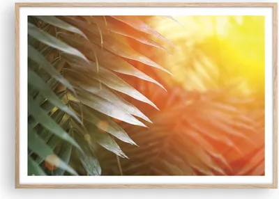 Produktbild von Gerahmtes Poster - Rahmen in heller Eiche - Exotisch Blätter Dämmerung - 100x70 cm - Wand Bild - Wanddeko - Wandbilder - Kunstposter - Wandposter - Bilderrahmen - Bilder - P2NAA100x70-4807