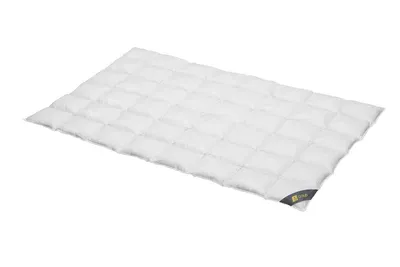 Produktbild von Daunendecke 155x220 cm 100 % Gänsedaunen Medium  Bettdecke Steppdecke Daunen SPESSARTTRAUM GOLD