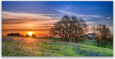 Produktbild von Glasbilder 120x60 Wandbild Druck auf Glas Wiese Sonne Landschaft
